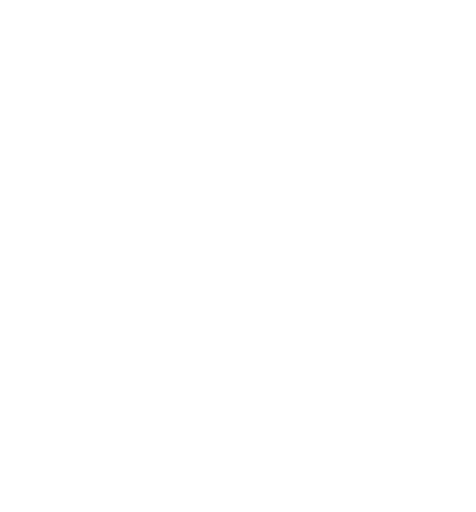 Financial Management icon